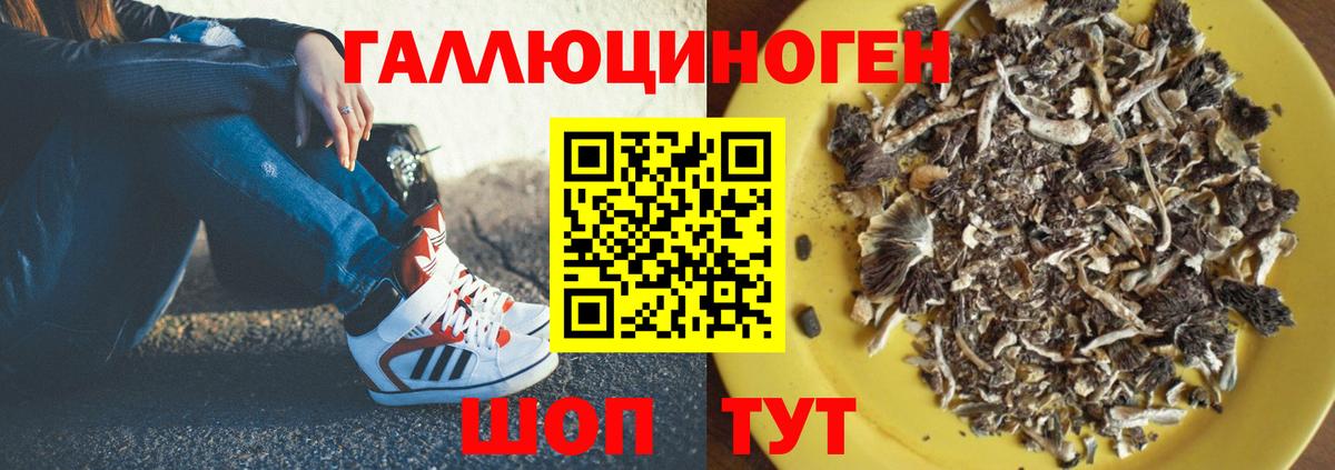 Галлюциногенные грибы ЛСД Белая Калитва